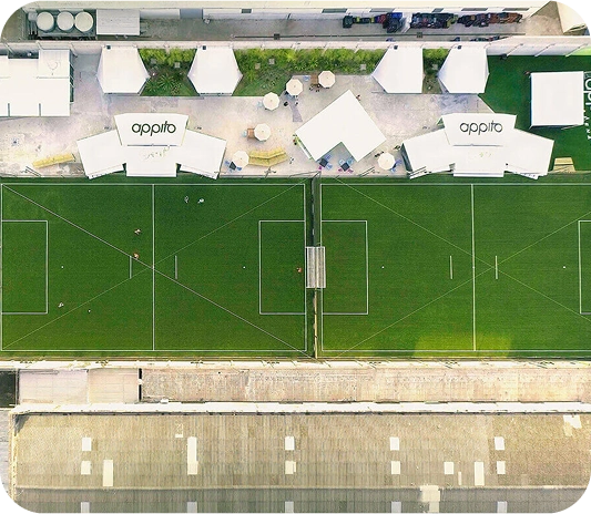 limão (1)