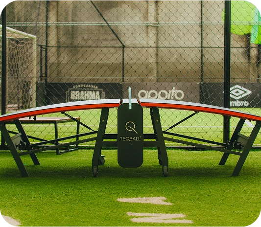 limão (4)